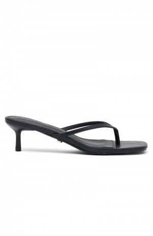 White Fox Hamptons Thong Heels Black | SXBZCL-218