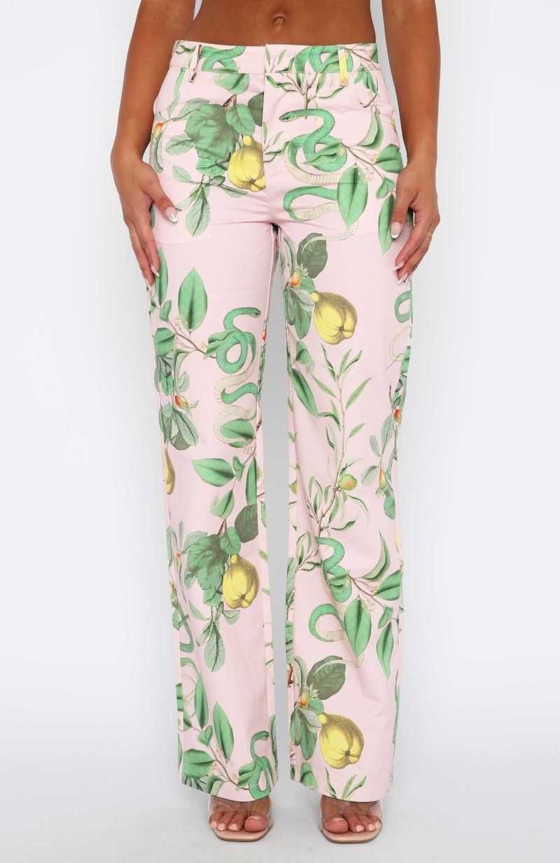 White Fox Here To Stay Pants Pink Serpent | HXAYJV-280