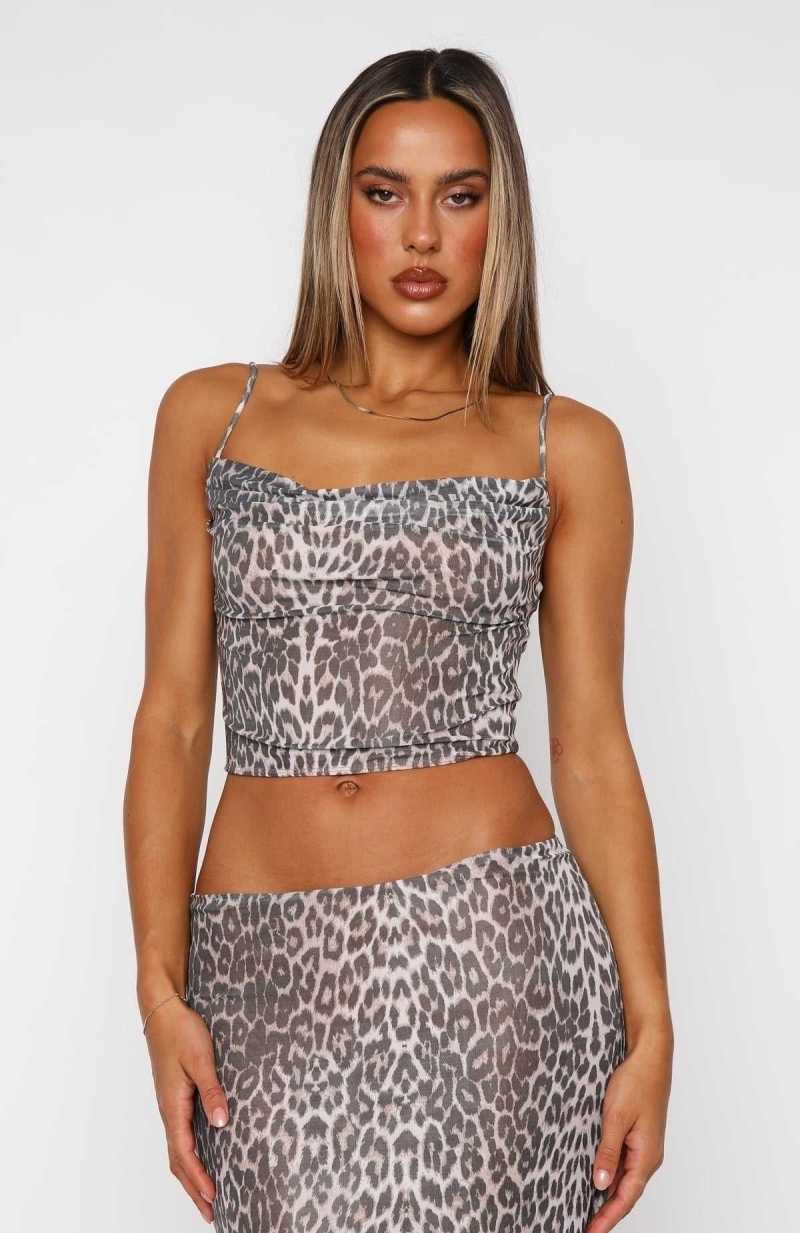 White Fox Miles Above Top Leopard | ZQNVTG-451