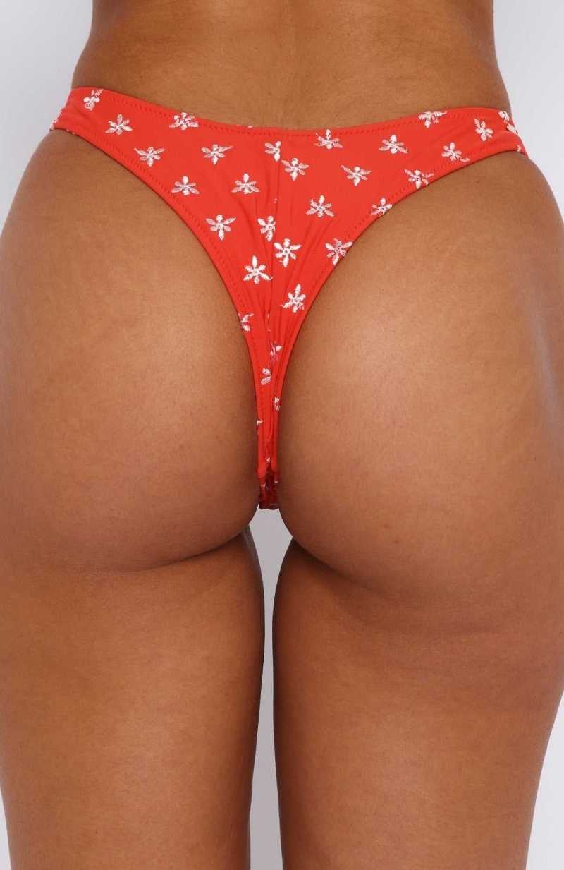 White Fox Turquoise Bay Bottoms Red | LXEQHK-143